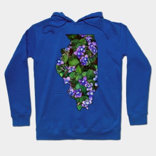 Illinois Violets Hoodie